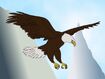 Rileys Adventures Bald Eagle