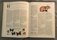 The Kingfisher Illustrated Encyclopedia of Animals (68)