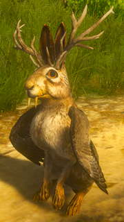 BaW wolpertinger