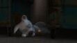 Bolt and Rhino Sleeping