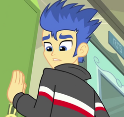 Flash Sentry crop.png