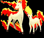 Ponyta and Rapidash