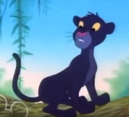 Young Bagheera as Banjo the Woodpile Cat