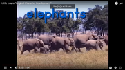 A Herd Of Elephants