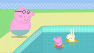 Daddy Pig brags about him diving when he was smaller