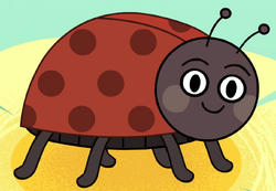 Ladybug in turn and learn.png