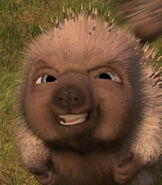 Quillo the Porcupine Kid