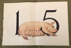 Animal Numbers (Bert Kitchen) (7).jpeg