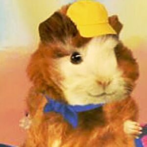 Baby Wonder Pets The Parody Wiki Fandom