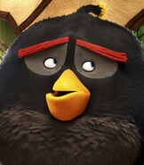 Bomb in The Angry Birds Movie-0