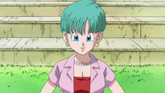 Bulma Brief