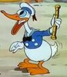 Donald Duck in the Mickey Mouse Shorts