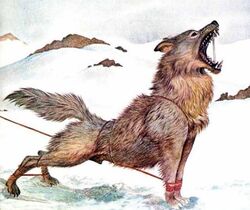 Fenrir.jpg