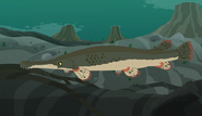 Alligator Gar