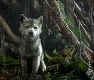 Grey Brother as Himself