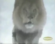 Animorphs (1998-1999)