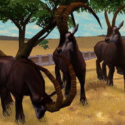 Giant Sable Antelope Game zooempire2