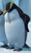 Gon Rockhopper Penguin