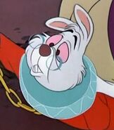 The White Rabbit in Alice in Wonderland (1951)