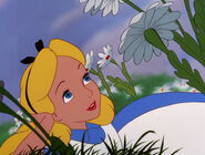 Alice (Alice In Wonderland)