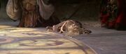 Dark Crystal Screenshot 2469