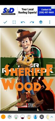 SWR Poster.jpg