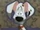 Whizzer (101 Dalmatians)