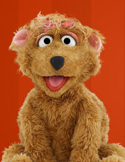 Curly-bear1.jpg