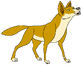 Dingo