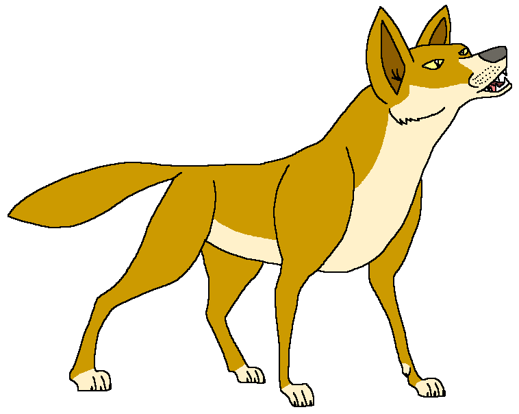 Dingo, Wild Kratts Wiki