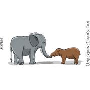 Elephants and Tapirs