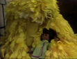 Big Bird sleeping with a doll in episode 1034