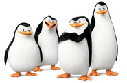 Penguins