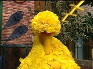 Sesame Street: Quiet Time- Big Bird falls asleep with letters Zs