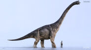 Brachiosaurus (V3)