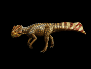 Koreaceratops