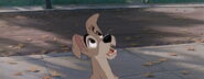 Lady-tramp-disneyscreencaps.com-1807