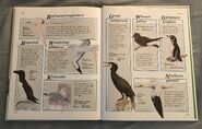 Macmillan Animal Encyclopedia for Children (40)