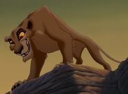 Zira as ????'s Eye