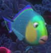 Parrotfish