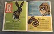 The Dictionary of Ordinary Extraordinary Animals (43)