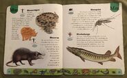 Deadly Creatures Dictionary (14)
