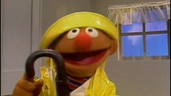 Ernie wears a raincoat as he prepares for rain.jpg