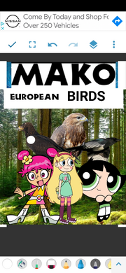 MKERPNBRDS Poster.png