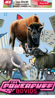 PPBovids1998 Poster.png
