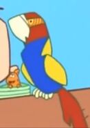 SGBBOA Macaw