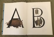 Animal Alphabet (Bert Kitchen) (1)