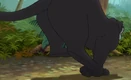 Bagheera jump off 1.png (232 KB)
