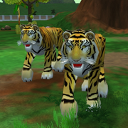 Bengal Tiger Game