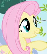 Fluttershy as Bianca